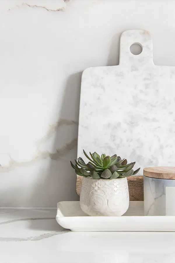 Image of quartz countertops and a small plant